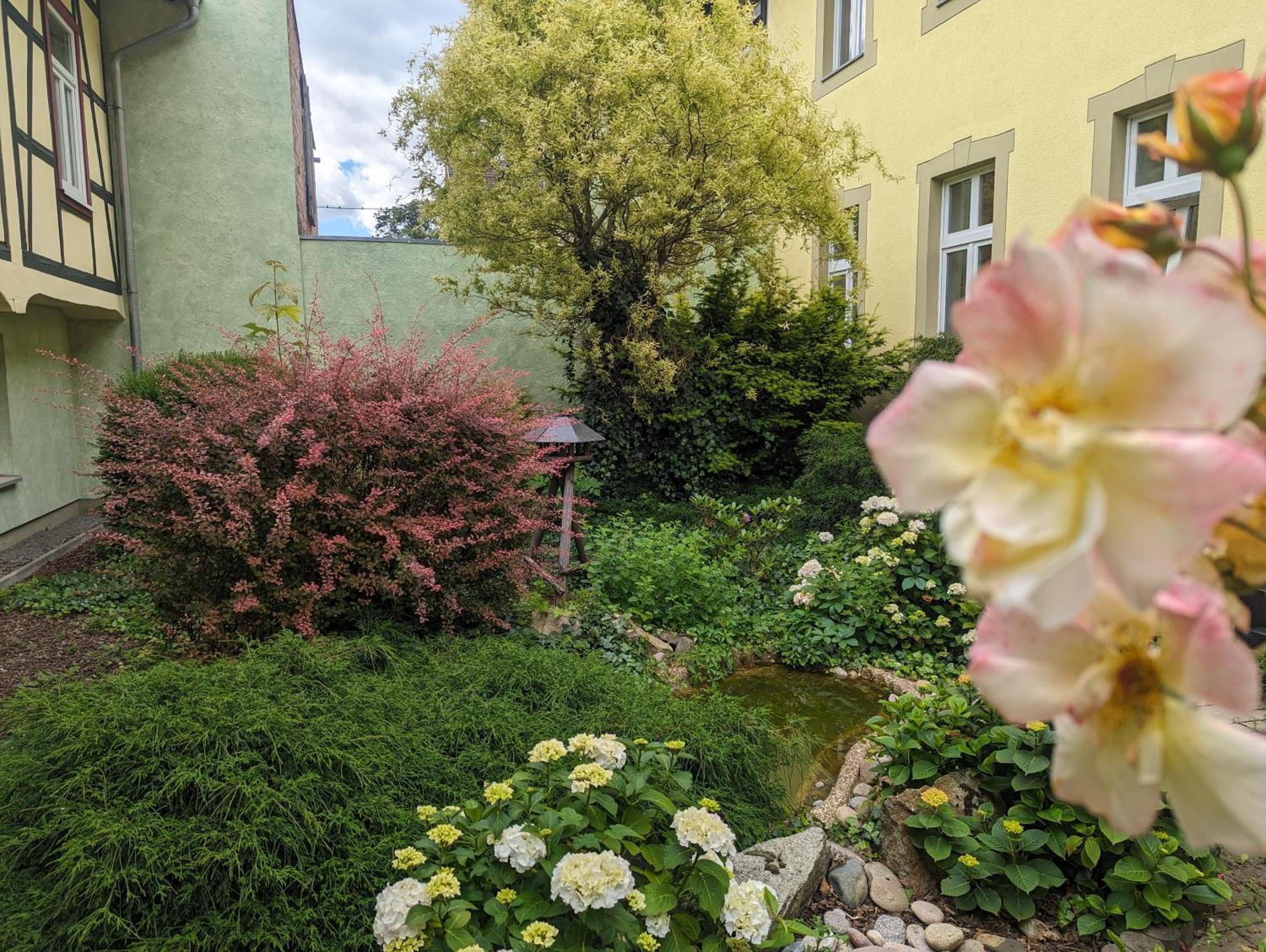 Ferienwohnungen An Der Bimmelbahn ヴェルニゲローデ エクステリア 写真